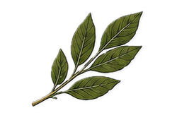 Tobacco leaves